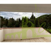 Terraza con vistas al jardín