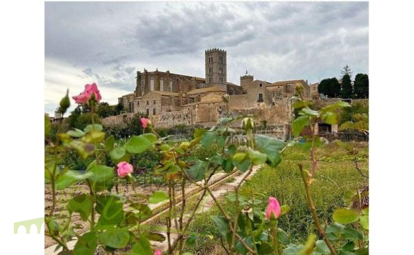 Vista a la Basílica Santa María
