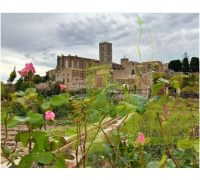 Vista a la Basílica Santa María