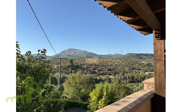 Vistas desde la terraza