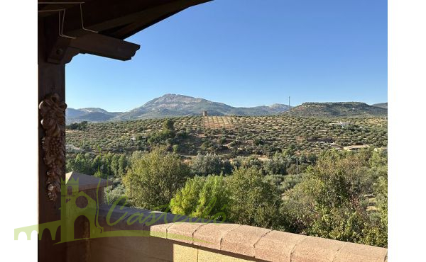 Vistas desde la terraza