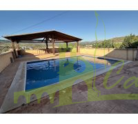 Piscina con terraza y porche