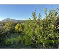 Huerta con arboles frutales