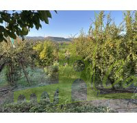 Huerta con arboles frutales