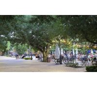 Parque Municipal, lugar de encuentro