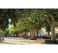 Parque Municipal, lugar de encuentro