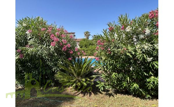 Jardín y piscina comunitaria