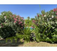 Jardín y piscina comunitaria